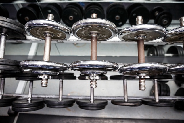 Mobilność i jej wpływ na wyniki siłowe